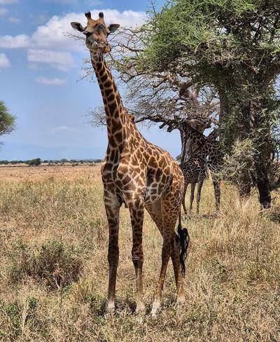 ngorongoro caldera