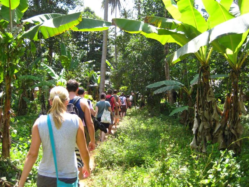 Spice Tour - Journey of Light Adventures Zanzibar
